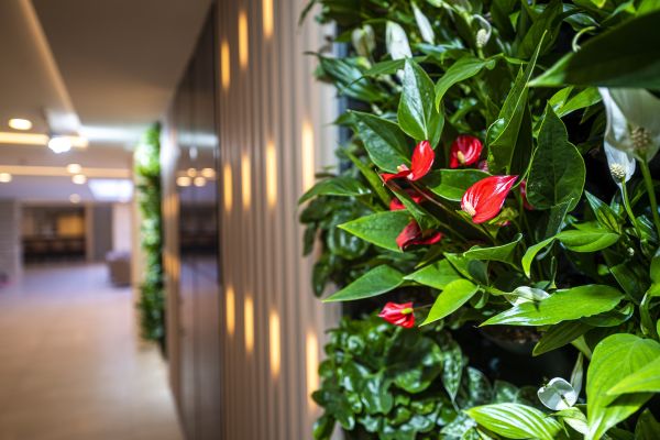 Greenfield Golf & Spa All Inclusive****superior (Wichs)